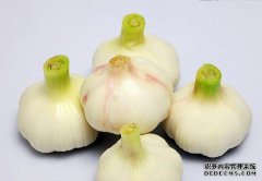国家最喜欢吃大蒜：一日三餐不分，一年吃8000吨