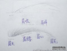 在眉毛边缘拥有它的人通常只有男性宝藏，而不