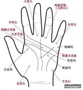 当你手工看到婚姻时，手中的线条会断裂几次，