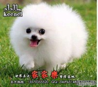 杨洋阳有两个姐妹雕刻了一个球。互联网用户将