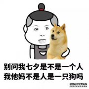注释段落：？狗只暂时退休，请不要吃饭！