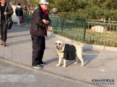 王渊的狗：一旦我走到世界尽头，我超重，无法