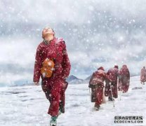 秦羽的美丽不禁寻找，新的风格更加清新美丽，