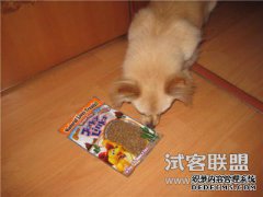 赵丽英还“给狗粮”！但她被“身体”所吸引，