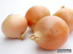 我总是在嘴里闻到洋葱味