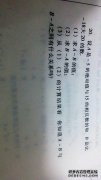 [？ZD的外国人真的支持ZD吗？