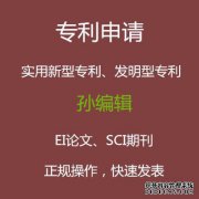 ei在杂志中包括什么？
