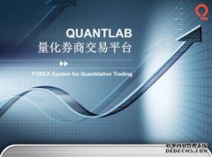 什么是定量QL？