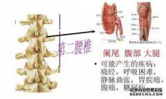 您如何锻炼腰痛？