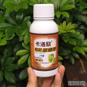 什么是硒肥？