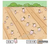 子宫内膜厚约6毫米吗？
