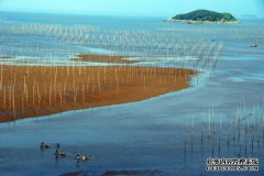中国最美丽的海岸-霞浦：福建18