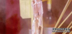 XF工厂“钛马铃薯”的新更新！有毒直至停止