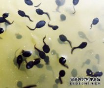 [小说]成为小樽的最后一章