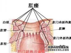 [肛门前有哪些症状？]
