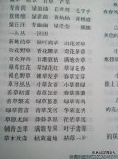 关于代表嘴巴的成语