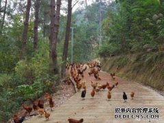 [看起来无法抓住他]