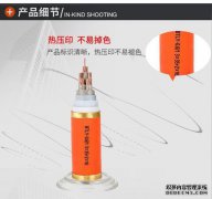 哪条电缆属于正增益率电缆系统？