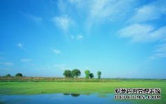丁町方法是什么？