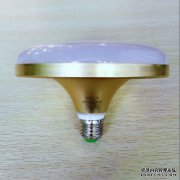 从天堂天堂出来的真菌的结构是什么？