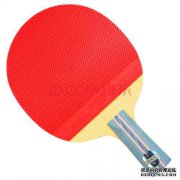 乒乓球拍和不粘球棒有什么区别？