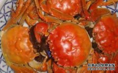 [什么是Soft Club Shell？]