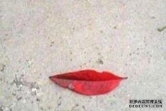 五种爱情禁忌：纠结，纠结的爱情，女人，失去