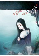 一部来自中华民国的令人惊叹的小说：与这本书
