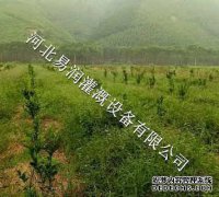 dian灌设施的详细解释