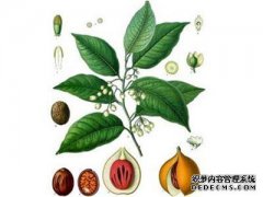专栏专栏专栏的的专栏专栏专栏
