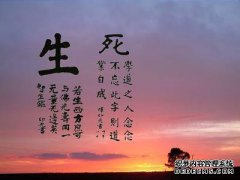 [两个Shingo]