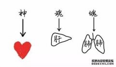 中医灵魂解析。