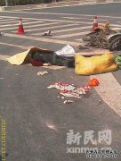 小牛撞上汽车四个月，并有血块。