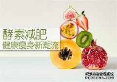 [水果酵素的酵素配方是什么？]