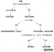 再生障碍性贫血可以存活多长时间？