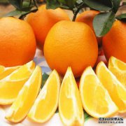 [橙色橘子季]我们用了今年吃的所有橘子！Navel