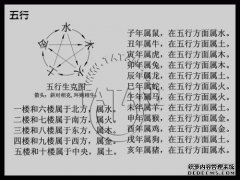 “脾是肺之母”，您如何获得这一主张？