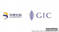 去新加坡最好的方法是什么？新加坡需要购买前
