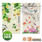 [我做了剖腹手术]