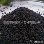 今天早上，大便被去除，得到了一个黑色的昆虫